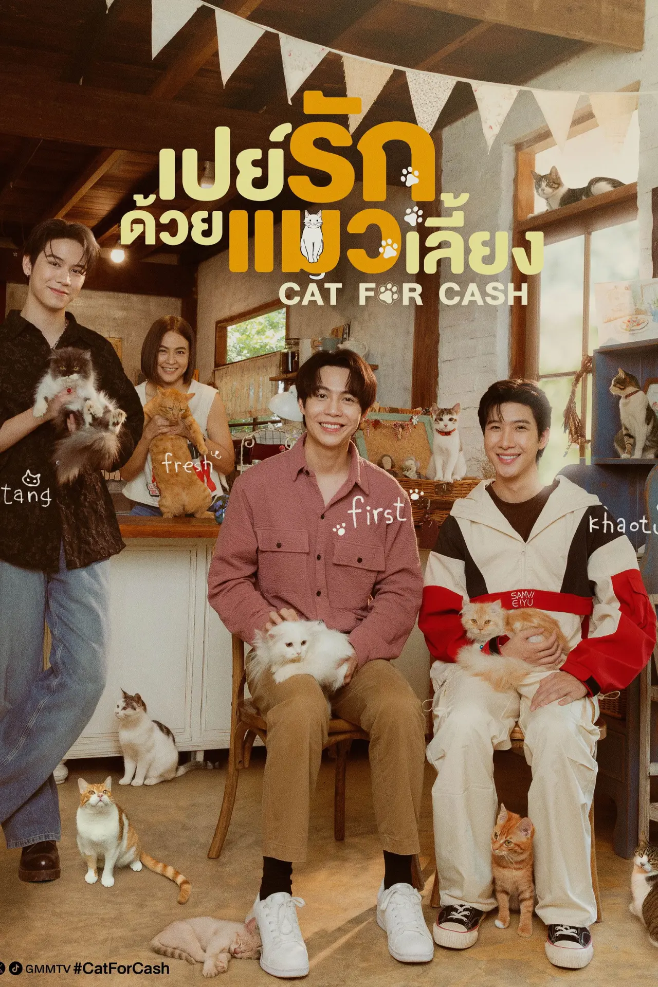 Xem phim Cat for Cash
