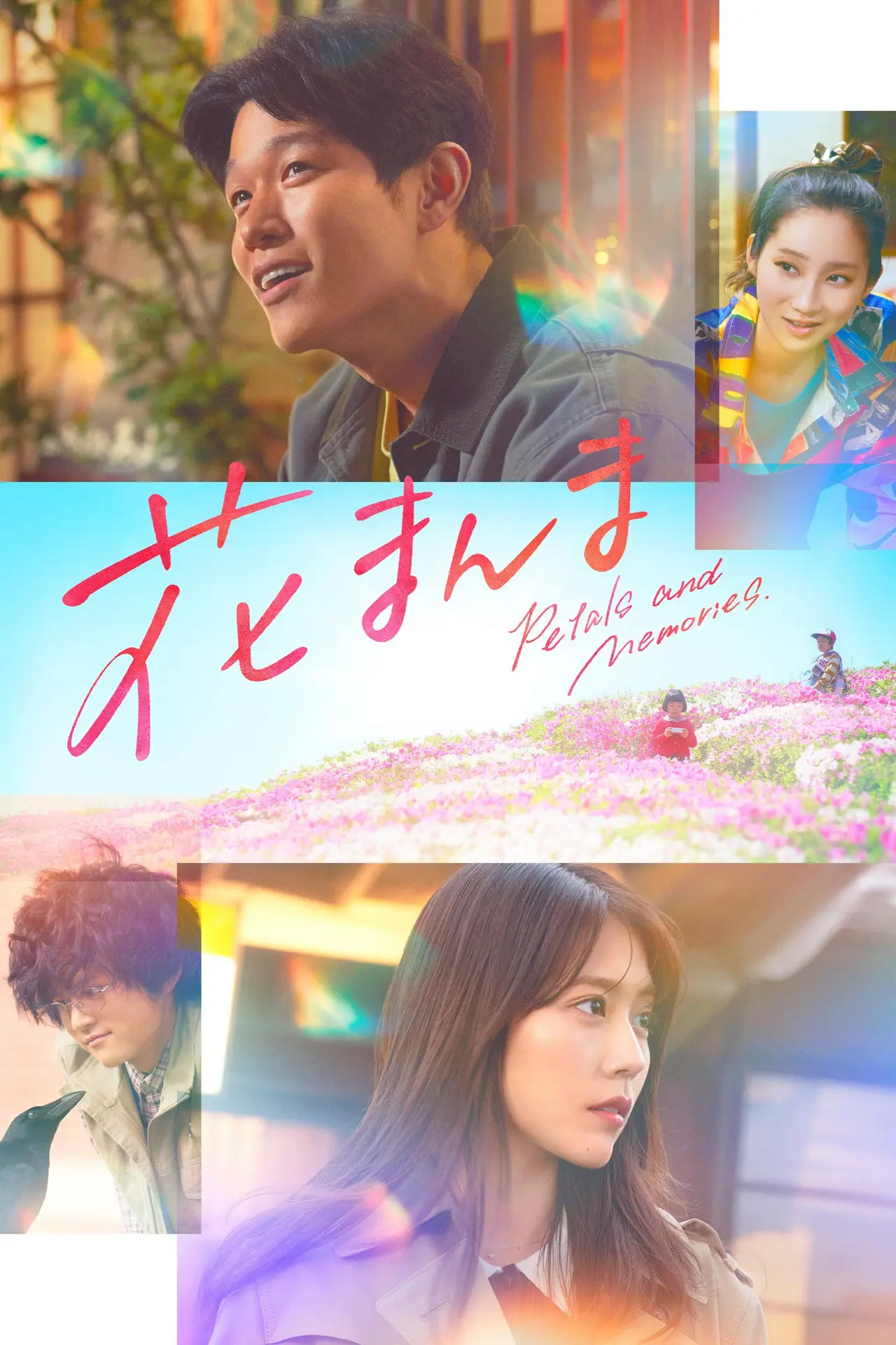 Xem phim Hoa Trong Thương Nhớ