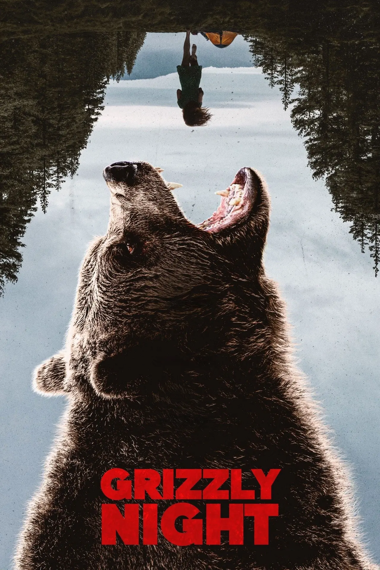 Xem phim Thảm Kịch Gấu Nâu